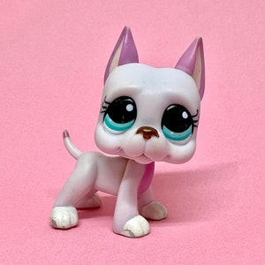 Littlest Pet Shop Perrito Chihuahua Gris Hasbro