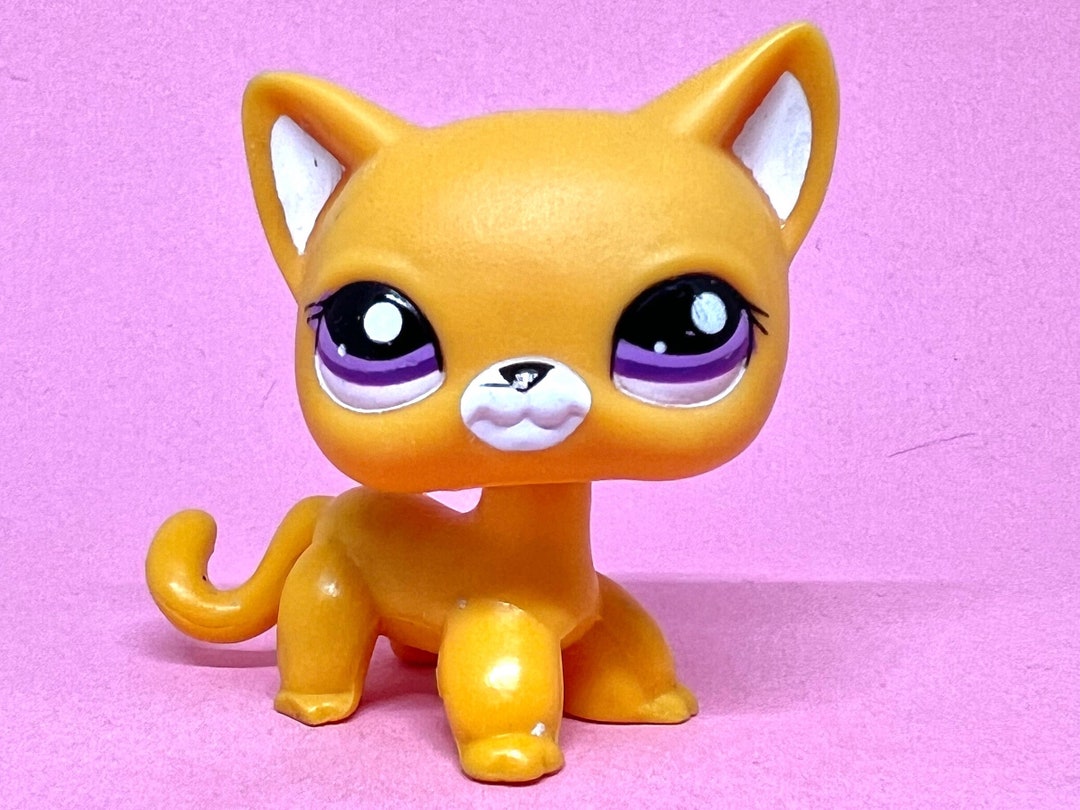 Littlest Pet Shop Authentic VERY RARE LPS Orange Blind Bag Etsy