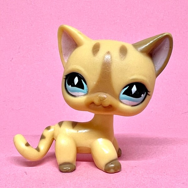 Main 5 Pet Shop Etsy