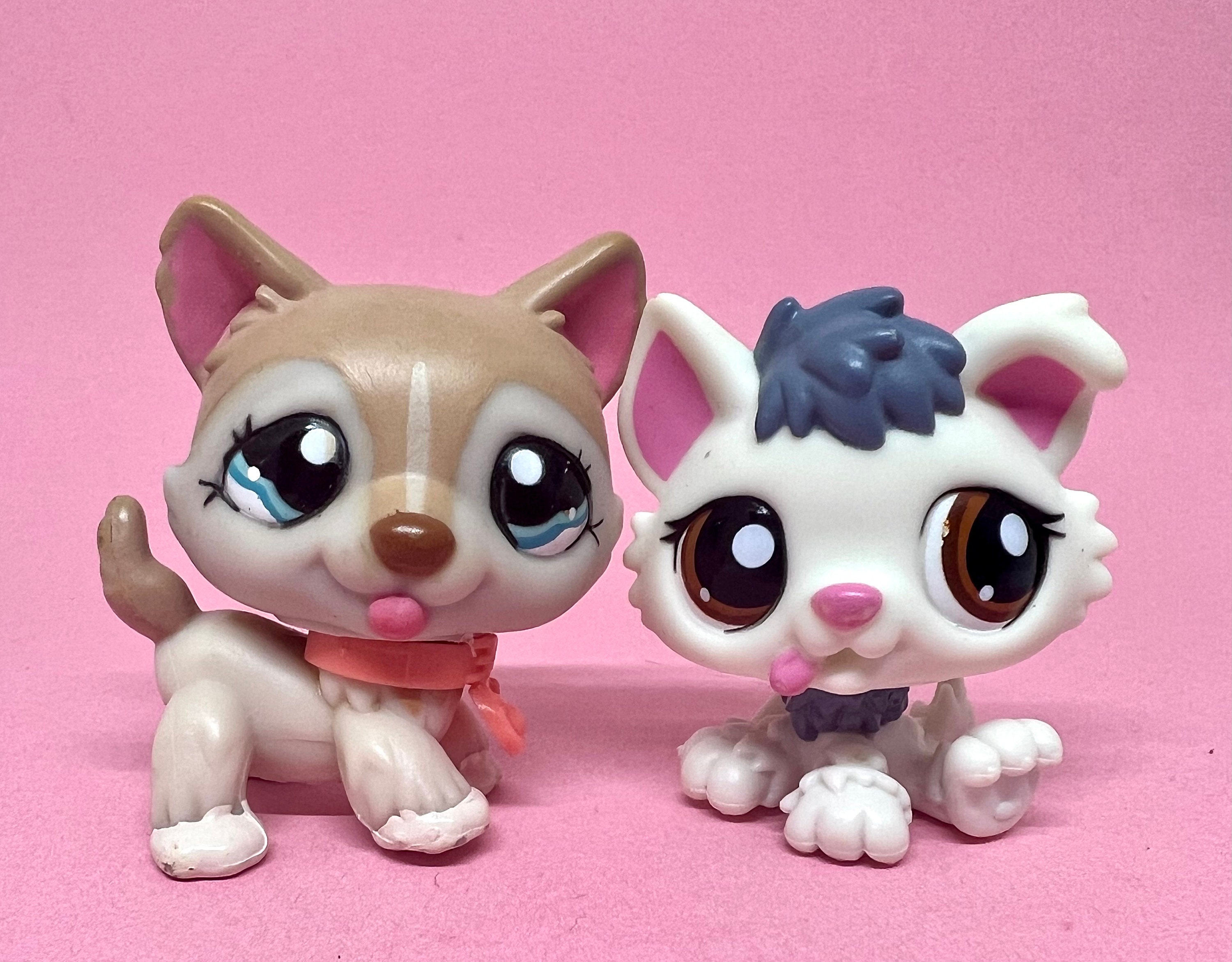 Lps husky puppy best sale numbers