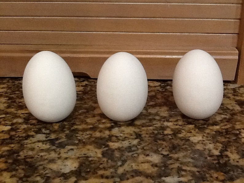 Ceramic Bisque Easter Eggs Ready to Paint. Choose a Style Etsy