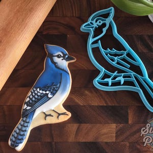 May include: A blue jay shaped cookie decorated with blue, white, and black icing, positioned next to a matching light blue plastic bird cookie cutter. The cookie features detailed plumage patterns and a black beak, while the cutter shows the outline.