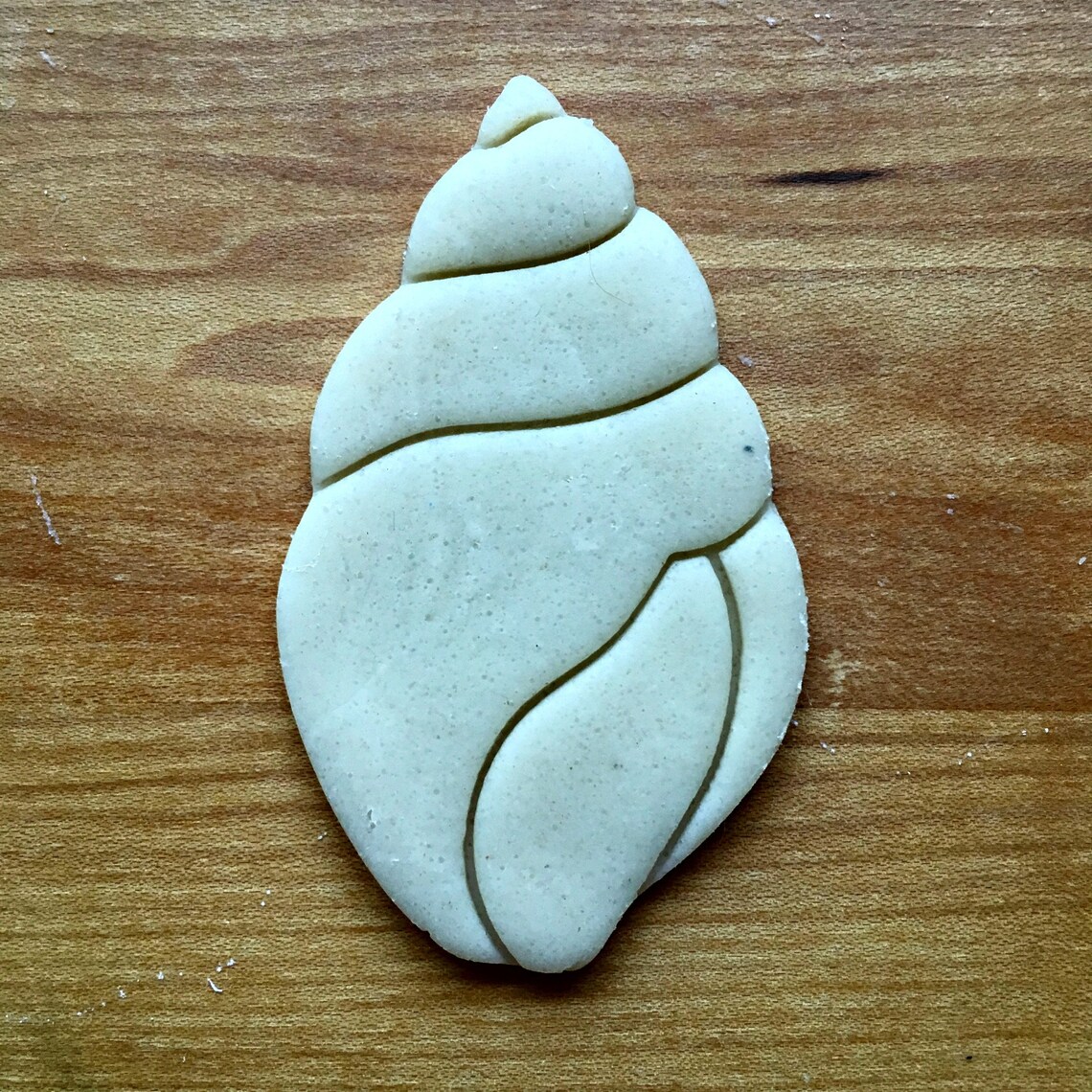 Conch Shell Cookie Cutter/multisize Etsy