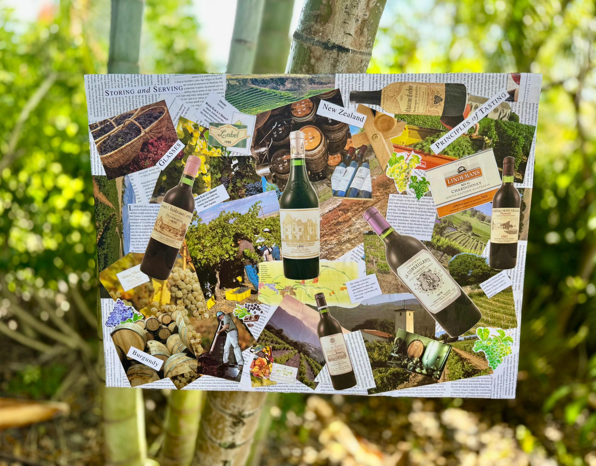 gallery photo