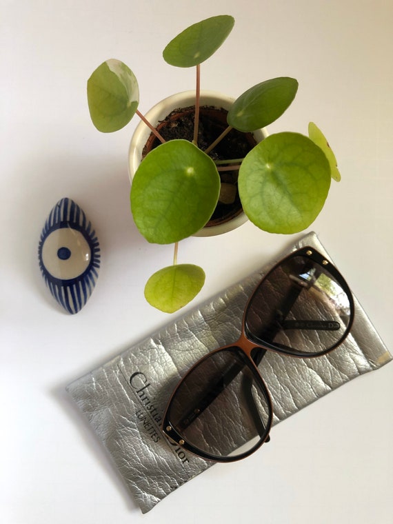 christian dior sunnies