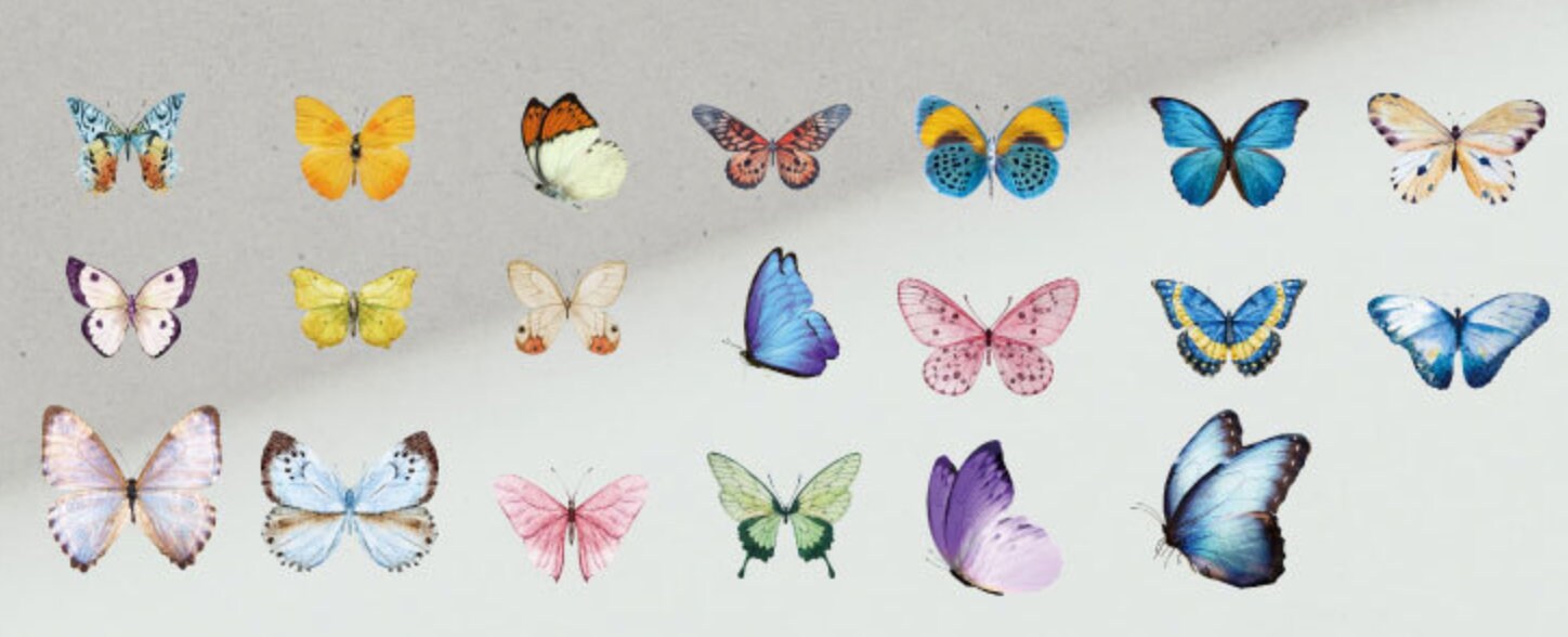20 pcs Large Butterfly Sticker Pack Butterfly Decoration Etsy
