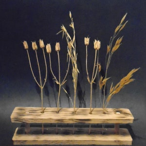 Oak Flower bar