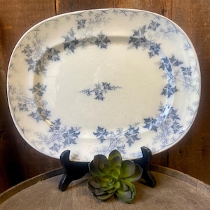May include: Oval, antique serving platter with a white background and a blue floral design. The platter is supported by a black stand. The floral pattern features stylized leaves and vines. A decorative succulent is in the foreground.