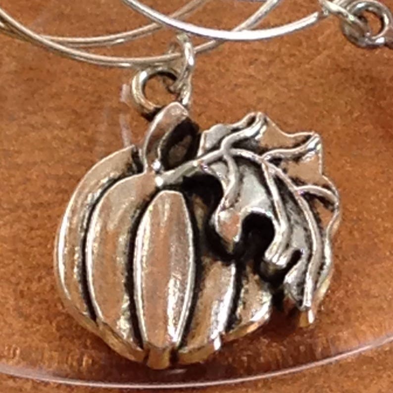 May include: Silver charm in the shape of a pumpkin with a leaf. The charm is attached to a silver ring.