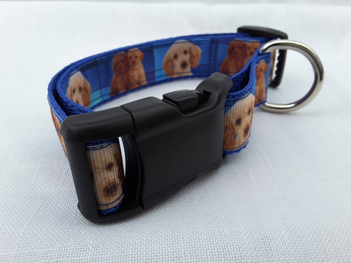 Golden Doodle adjustable dog collar medium dog size Etsy