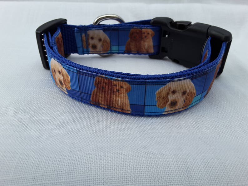 Golden Doodle adjustable dog collar medium dog size Etsy