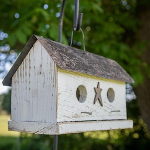 May include: A rustic, white wooden birdhouse with a weathered, brown metal roof. The birdhouse features two circular entry holes and a star-shaped accent. It is suspended from a black metal hook, with a blurred green background.