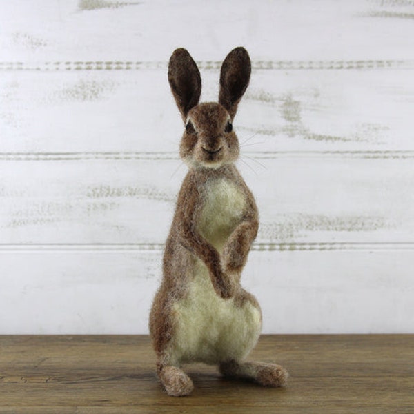 Romeo Rabbit Needle Felting Kit: World of Wool - BACK IN STOCK!