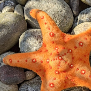 Op de afbeelding: Een feloranje viltster met witte en rode stippen. De ster ligt op een bed van grijze stenen.
