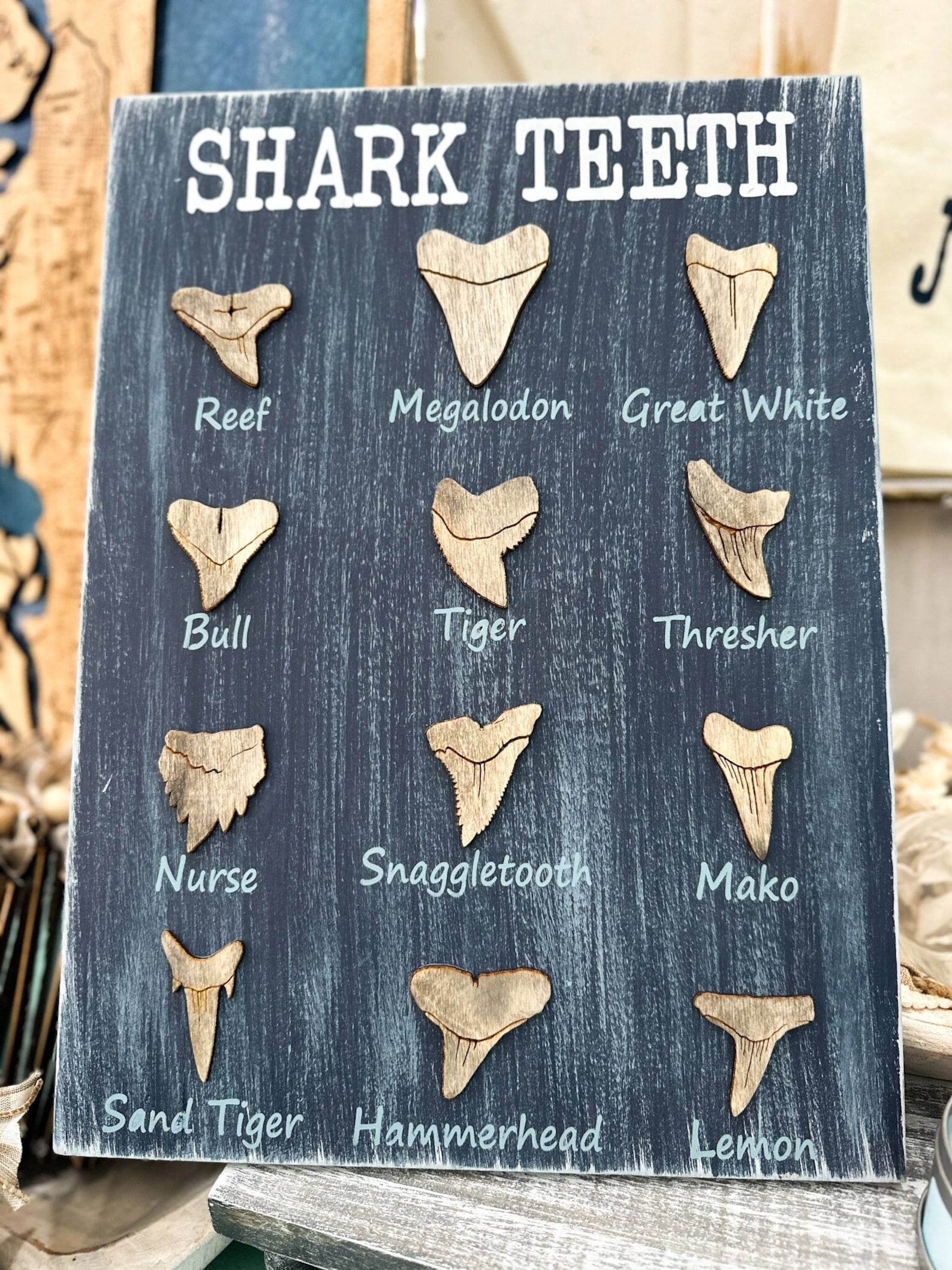 Shark Teeth Classification Painted Sign - Etsy