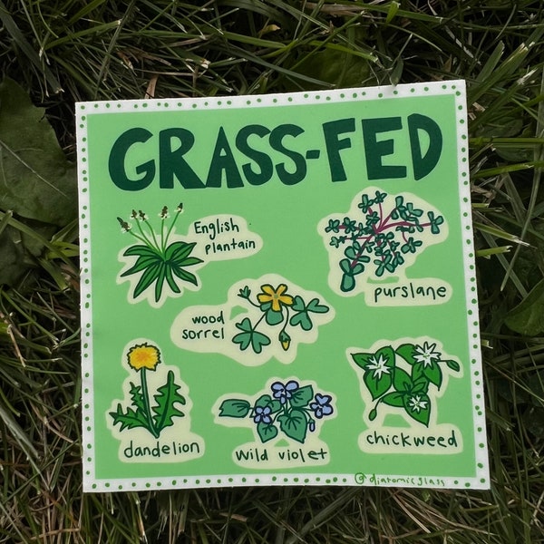 Grass Fed Edible Weeds Foraging Sticker