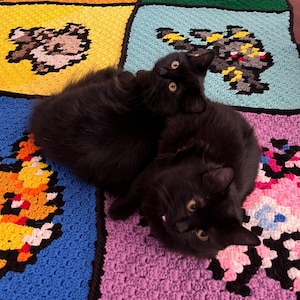 Puede incluir: Dos gatos negros descansan sobre una colorida manta de ganchillo pixelada. La manta presenta cuadrados con varios dise&ntilde;os en tonos de azul, amarillo, naranja, verde y rosa. Los gatos tienen ojos de color amarillo brillante y est&aacute;n acurrucados juntos.
