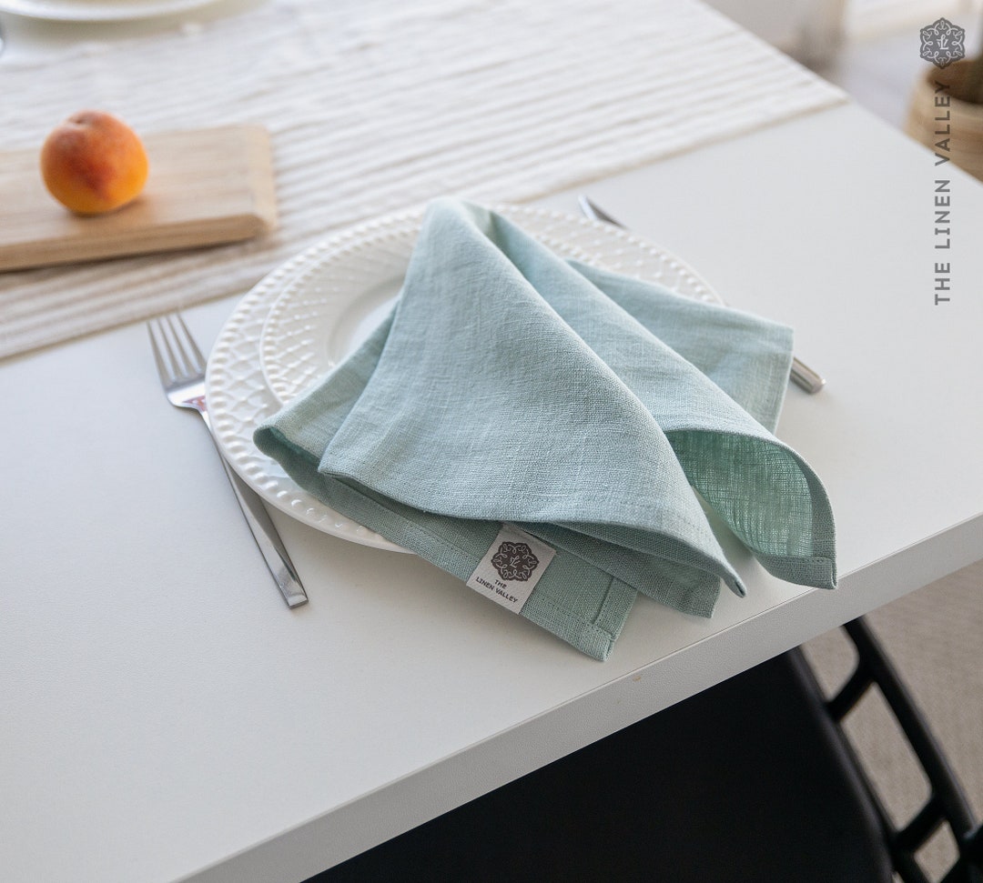 DUCK EGG BLUE Linen Napkin Set 2 4 6 8 10 12 Napkins. Etsy
