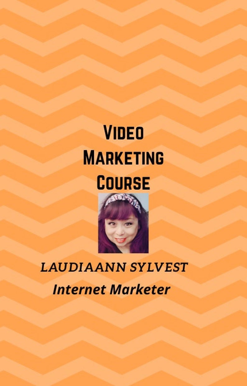 Video Marketing Kurs von Laudiaann Sylvest Bild 1