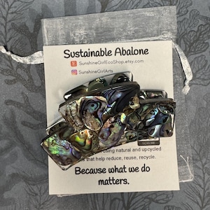 May include: A rectangular abalone shell barrette with iridescent colors, resting on a white card with the text "Sustainable Abalone" and "Because what we do matters." The barrette is in a small, sheer, silver pouch.