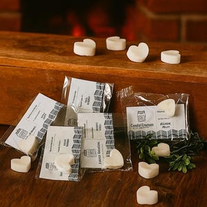 Wax Melt Sample Box | 20 Fragrance Variety Pack for Testing Scents