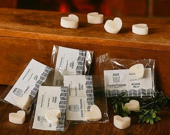 Wax Melt Sample Box | 20 Fragrance Variety Pack for Smelling Scents