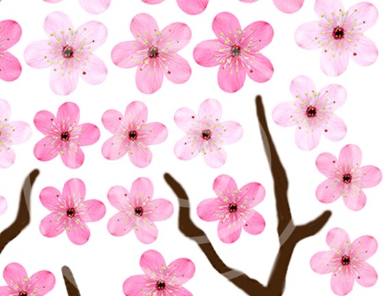 De Papier Comestible Plaquette Fleur De Cerisier