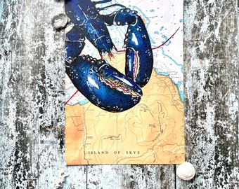 Limited edition  A4 lobster print