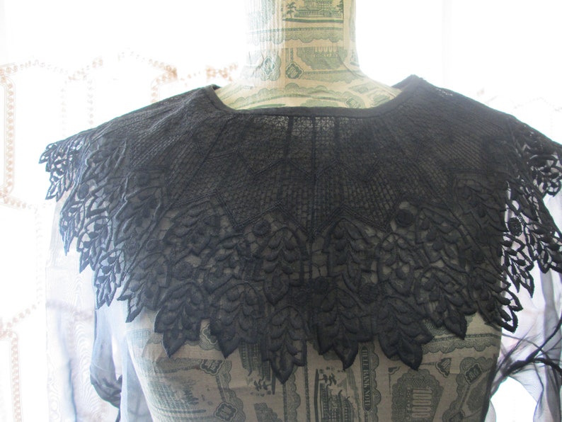 May include: A black lace collar with a scalloped edge and floral design.