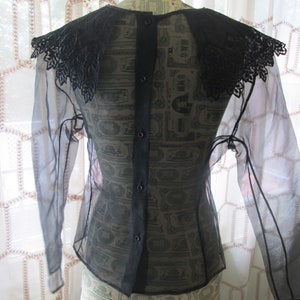 May include: A sheer black blouse with a lace collar. The blouse has a button-up front and long sleeves.