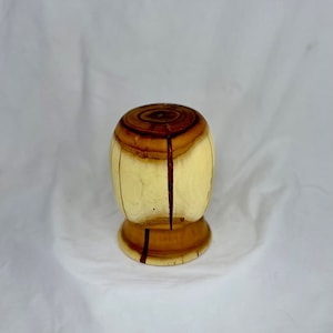 Areola - The Fungo Project - Mushroom-shaped Drinkware