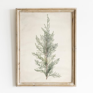 Vintage Christmas Tree Print: Farmhouse Winter Wall Art (Digital Download)