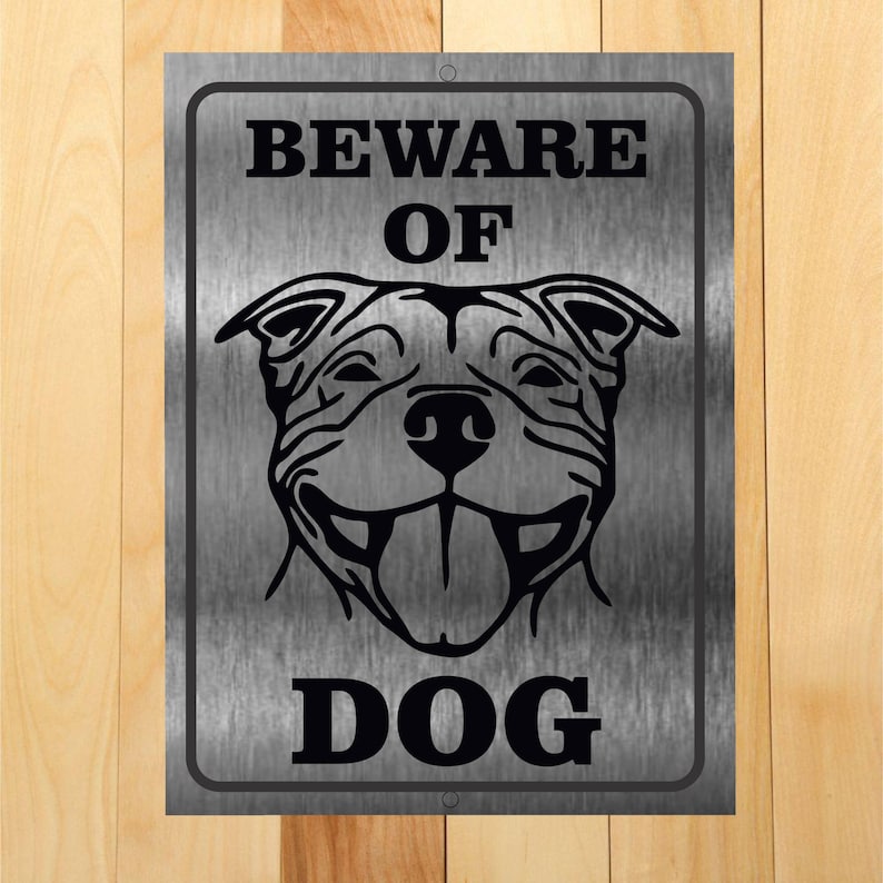 Targa decorativa da parete con scritta in inglese Pitbull Danger Protected By Pit Bull, idea regalo con scritta Beware Of Dog, per esterni, recinzioni, cancelli, cortili, decorazione da parete, 20
