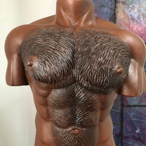HAIRY TORSO COCAO