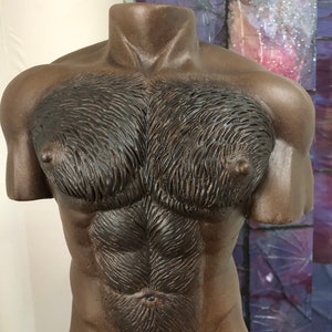 HAIRY TORSO JAVA