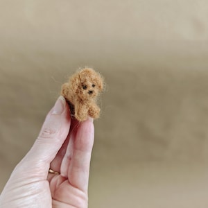 May include: A miniature, handcrafted, brown felted poodle dog figurine. The small dog has a fluffy, textured appearance with detailed features, including small black eyes and a defined snout. The poodle is posed in a sitting position.