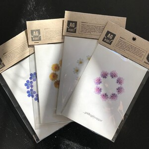 4x Fiori islandesi Biglietti d'auguri