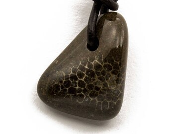 Charlevoix Stone Necklace Polished Charlevoix Stone Jewelry Pendant Michigan Favosite Coral Up North Bohemian Jewelry Gift for Women ET186