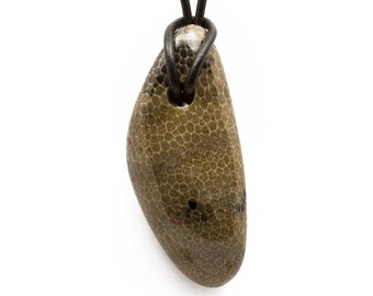 Charlevoix Stone Necklace Polished Charlevoix Stone Jewelry Pendant Michigan Favosite Coral Up North Bohemian Jewelry Gift for Women B93