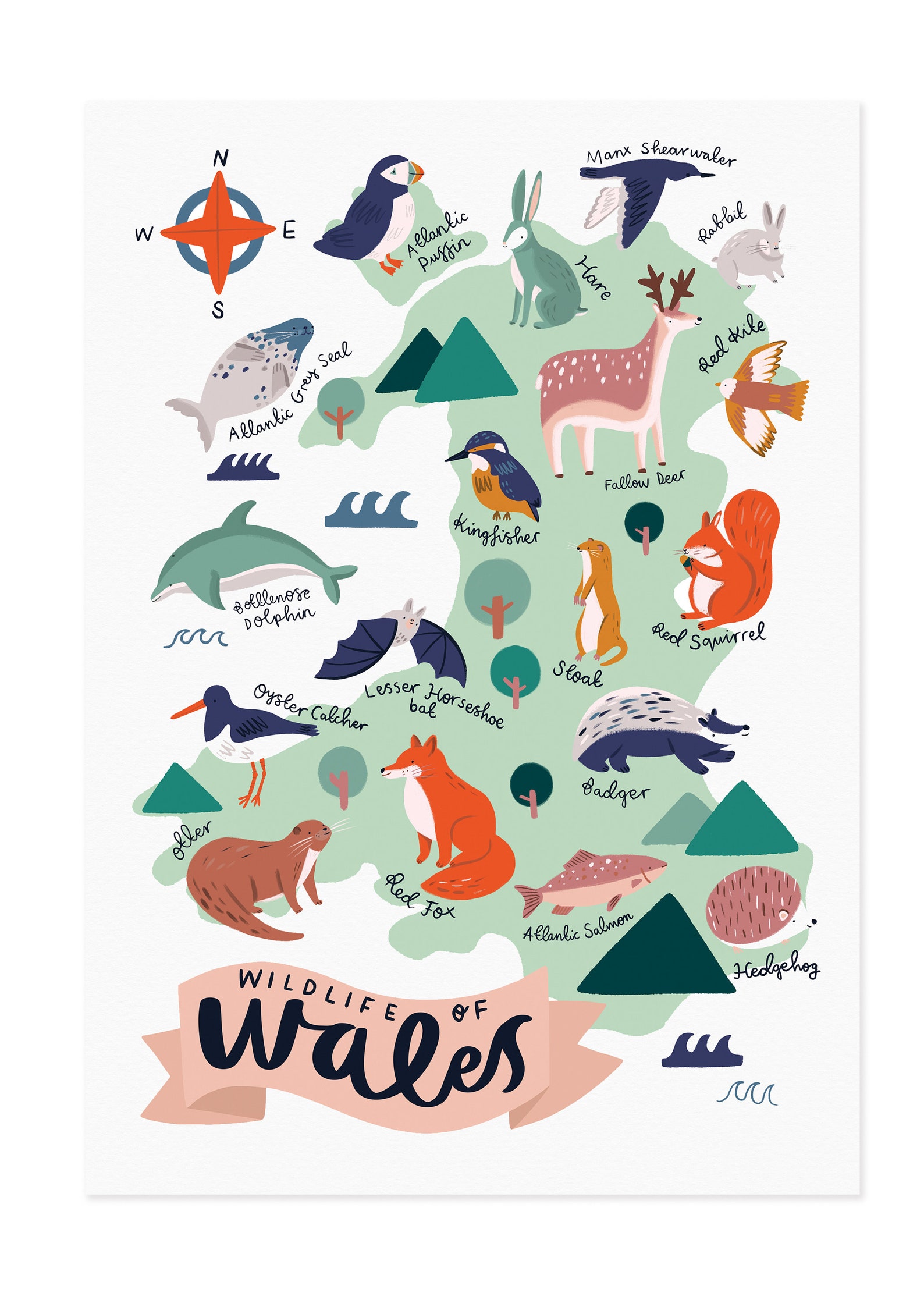 Wildlife of Wales Illustrated Map Wales UK Print British Wildlife