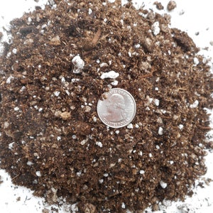 May include: A close-up of a pile of brown potting soil with white perlite mixed in. A US quarter is placed on top of the soil for scale.
