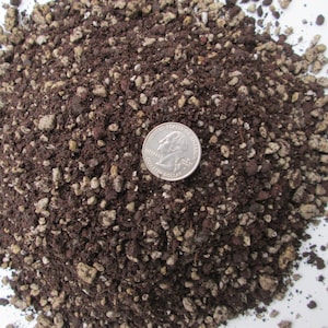 May include: A close-up of a pile of dark brown potting soil with small white and brown pebbles mixed in. A US quarter is placed on top of the soil for scale.