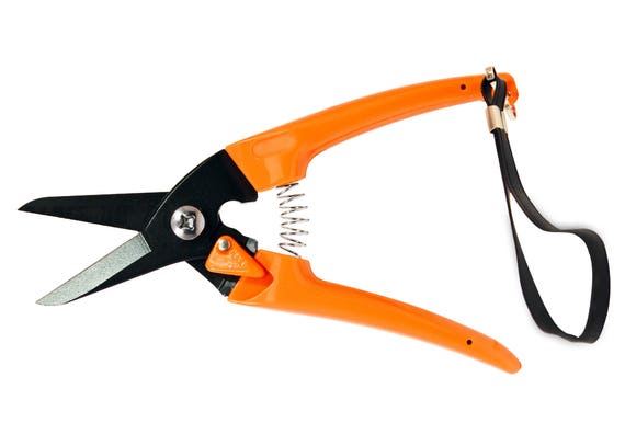 Zenport scissors on sale