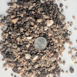 Inorganic Soil Mix Bonsai Soil -  Hydroponic Growth Medium - Large Particle Pumice, Turface & Lava