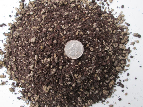 Peat Moss Free - Spined Succulents & Cactus Seedling Potting Soil Mix -  Custom Blend - Etsy
