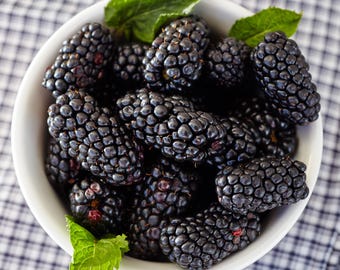 May include: A white bowl filled with ripe blackberries, some of which are partially covered by fresh green mint leaves.