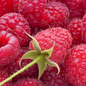 May include: Close-up of a group of red raspberries, some with green stems attached. The raspberries are arranged in a cluster, showing their bright red color and textured surface.