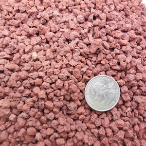 May include: A close-up of a pile of red lava rock, with a US quarter for scale. The rocks are small and irregular in shape.