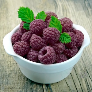 May include: A white ceramic bowl filled with a heap of fresh, dark purple raspberries. The fruit has a textured, bumpy surface and is garnished with several bright green, serrated leaves tucked among the berries, creating a vibrant contrast.