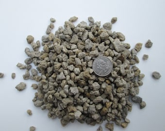 Pumice - 3/8"+ - 1/4"+, Bonsai Soil, Succulents, Cactus & Soil Mixes